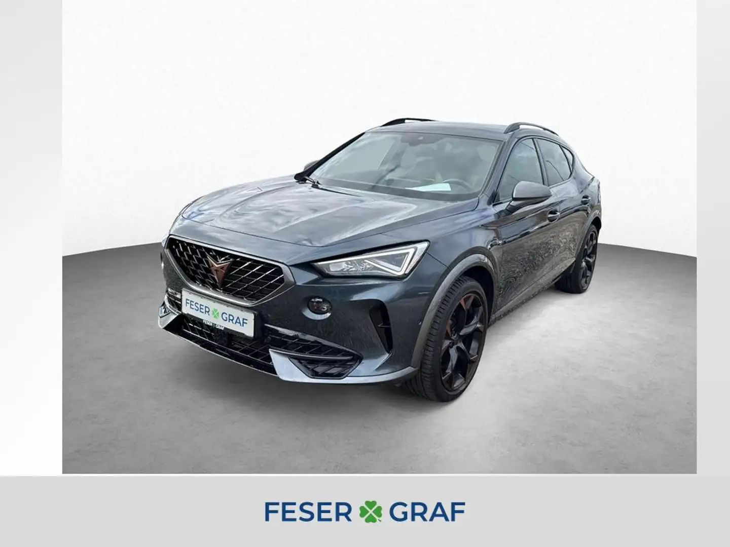 CUPRA Formentor VZ 2.0 TSI DSG 4Drive|RFK|Navi|ACC Grau - 1