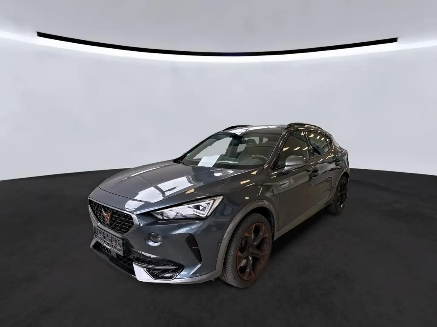 CUPRA Formentor VZ 2.0 TSI DSG 4Drive|RFK|Navi Gris - 1