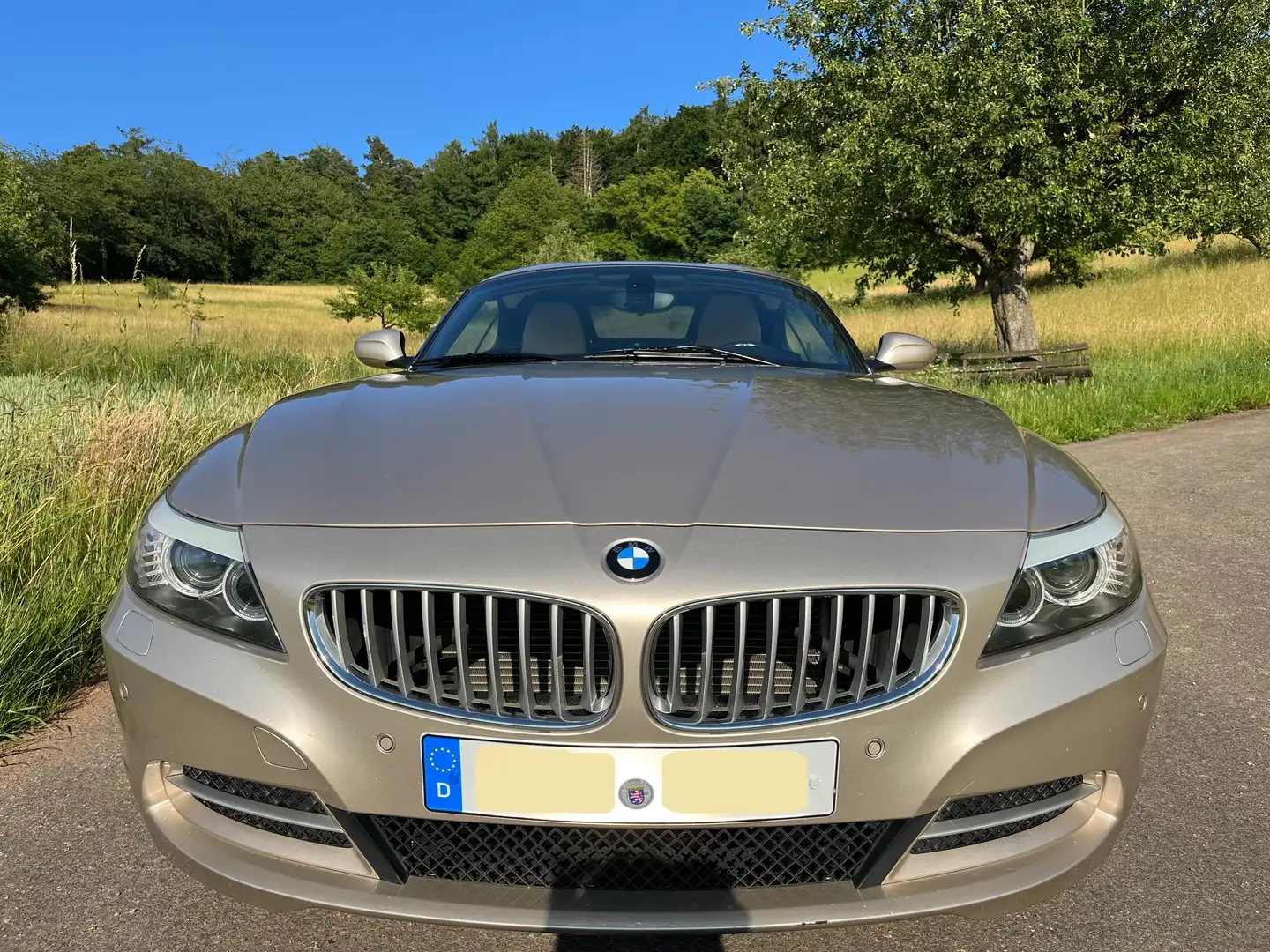 BMW Z4 sDrive23i Aut. Oro - 2