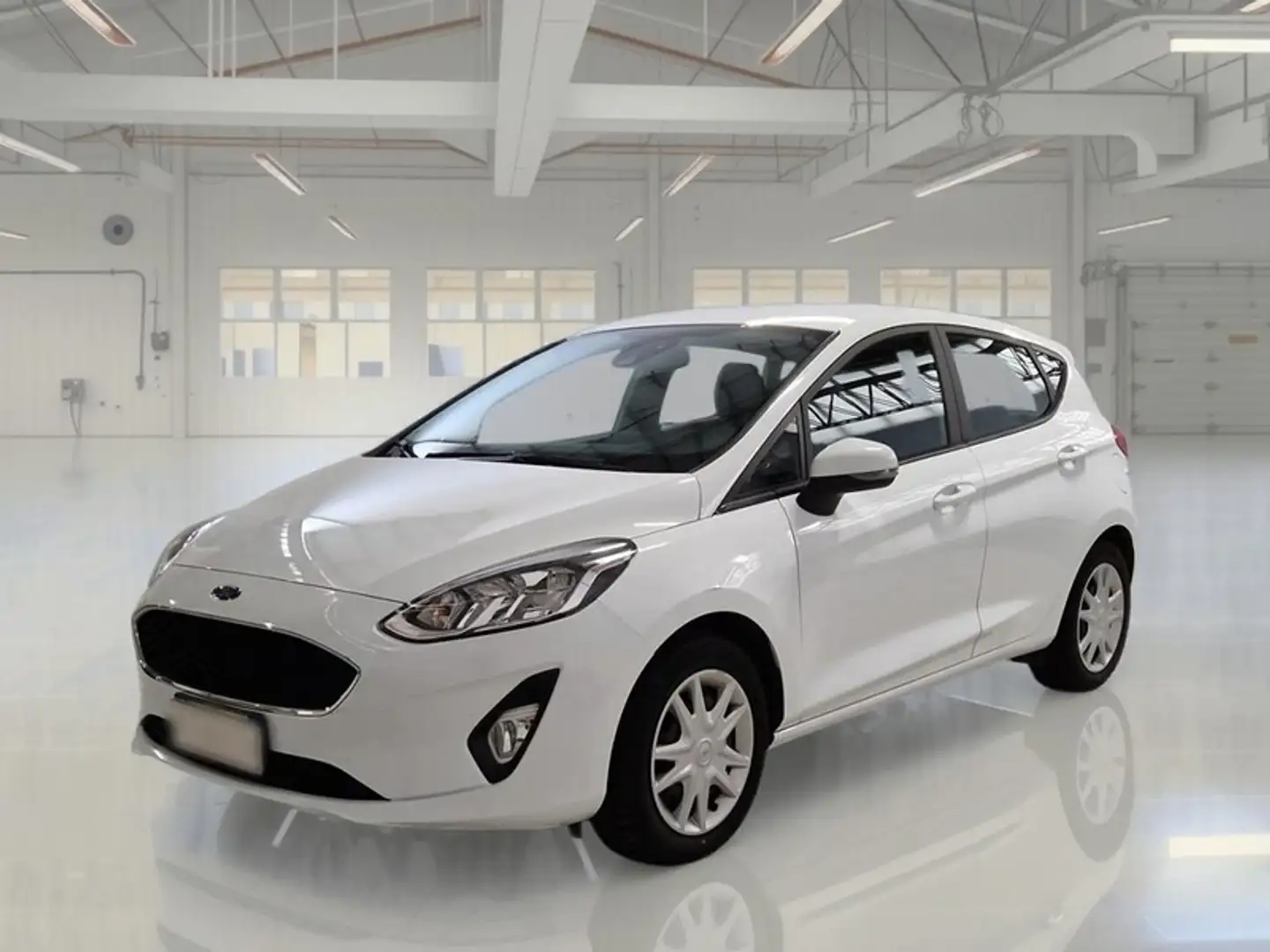 Ford Fiesta 1.5 EcoBlue 85CV Business 5 PORTE - 1