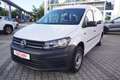 Volkswagen Caddy 1.0 TSI Maxi Werkzeugschrank AHK Navi Leder Weiß - thumbnail 2