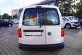 Volkswagen Caddy 1.0 TSI Maxi Werkzeugschrank AHK Navi Leder Weiß - thumbnail 7