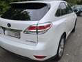 Lexus RX 450h RX Hybrid (hybrid) Luxury Line Weiß - thumbnail 4