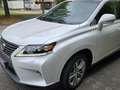 Lexus RX 450h RX Hybrid (hybrid) Luxury Line Weiß - thumbnail 2