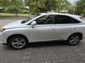 Lexus RX 450h RX Hybrid (hybrid) Luxury Line Weiß - thumbnail 7