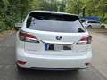 Lexus RX 450h RX Hybrid (hybrid) Luxury Line Weiß - thumbnail 6