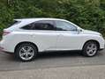 Lexus RX 450h RX Hybrid (hybrid) Luxury Line Weiß - thumbnail 8