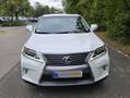 Lexus RX 450h RX Hybrid (hybrid) Luxury Line Weiß - thumbnail 1