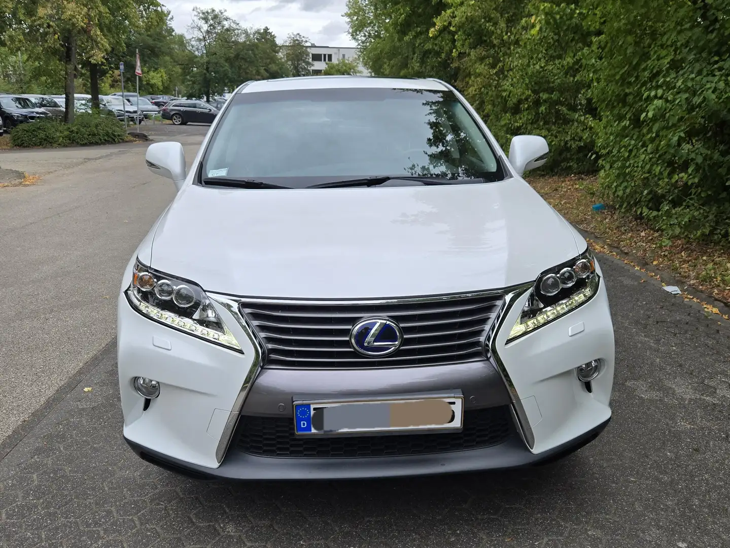Lexus RX 450h RX Hybrid (hybrid) Luxury Line Weiß - 1