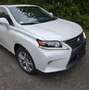 Lexus RX 450h RX Hybrid (hybrid) Luxury Line Weiß - thumbnail 3
