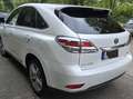 Lexus RX 450h RX Hybrid (hybrid) Luxury Line Weiß - thumbnail 5