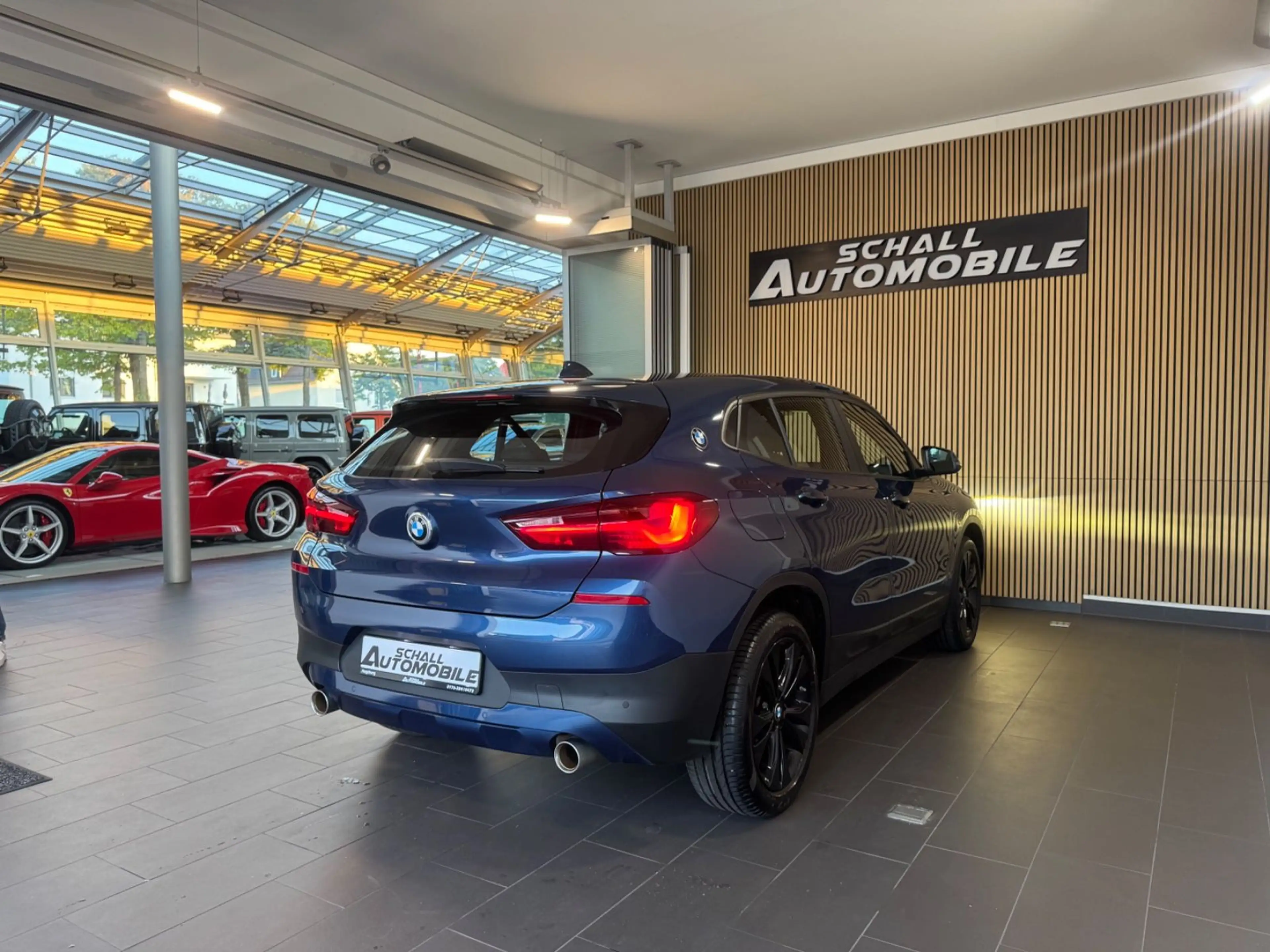 BMW X2 20i Advantage *LED/Park-Assist/Temp/Shz/HIFI* — photo 8