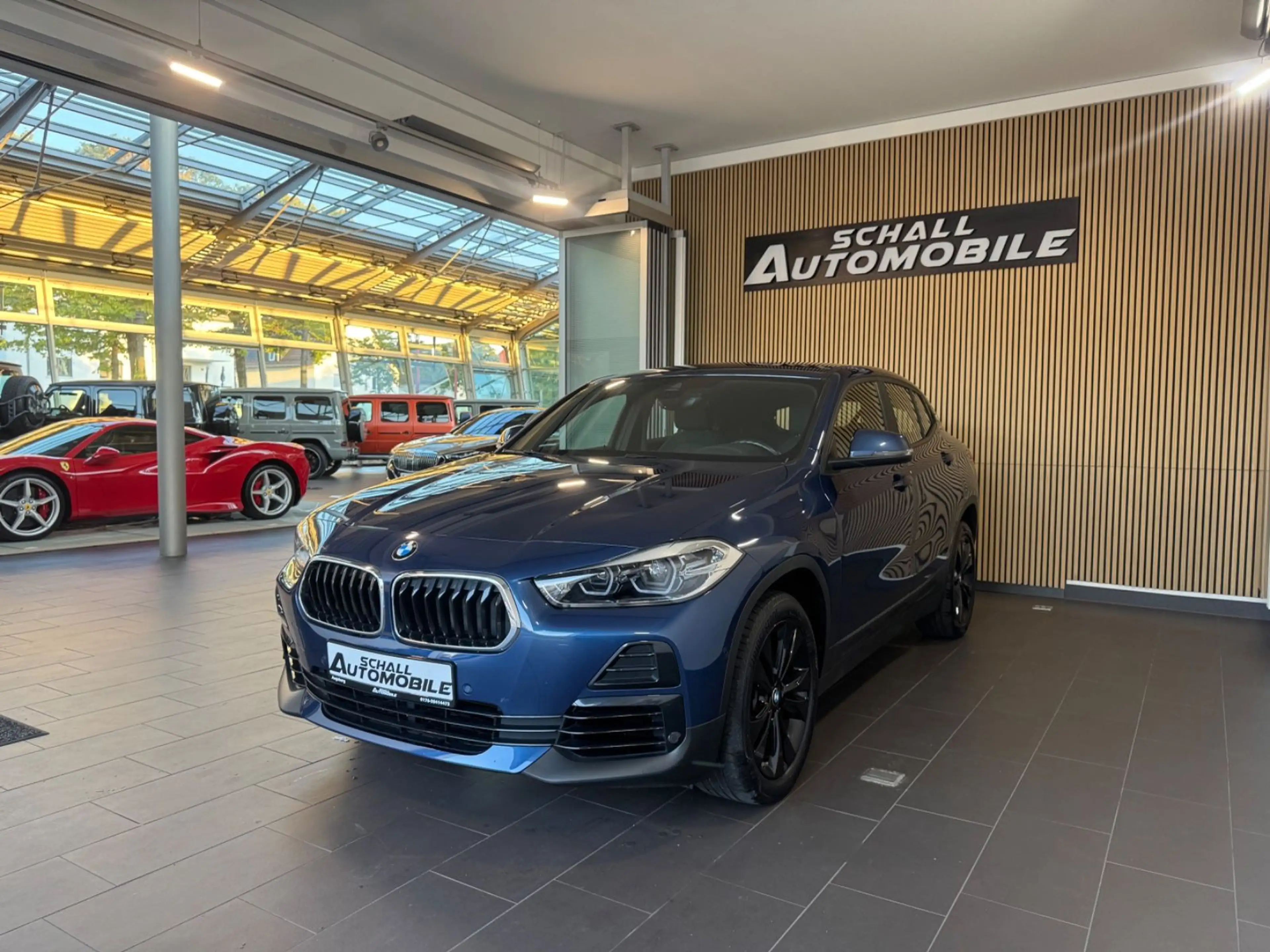 BMW X2 20i Advantage *LED/Park-Assist/Temp/Shz/HIFI*
