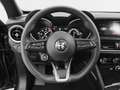 Alfa Romeo Stelvio 2.2 Turbodiesel 160 CV AT8 RWD Super Business - thumbnail 13