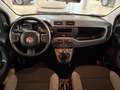 Fiat Panda Panda III 2021 1.0 firefly hybrid s Arancione - thumbnail 10