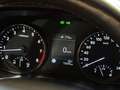 Hyundai i30 N-Line SPURASSISTENT/PANO/CAR-PLAY/SPORT-AGA Grau - thumbnail 21