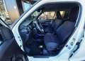 Suzuki Ignis 1.2 Hybrid Top KM 0 Bianco - thumbnail 5
