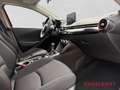 Mazda 2 Homura 1.5 SKYACTIV-G 90- M-Hybrid-Navi-SHZ-Klima- Rot - thumbnail 11