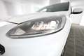 Ford Kuga 2.0 EcoBlue Hybrid 150CV 2WD ST-Line Blanc - thumbnail 13
