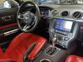 Ford Mustang Fastback 5.0 V8 Ti-VCT aut. GT Unico Proprietario! Grigio - thumbnail 14