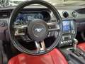 Ford Mustang Fastback 5.0 V8 Ti-VCT aut. GT Unico Proprietario! Grigio - thumbnail 15