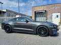 Ford Mustang Fastback 5.0 V8 Ti-VCT aut. GT Unico Proprietario! Grigio - thumbnail 7
