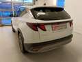 Hyundai TUCSON Tucson NX4 Jubile 1,6 T-GDi 2WD 48V Weiß - thumbnail 4