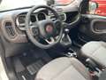 Fiat Panda 1.3 mjt 16v Cross 4x4  LEGA MULTIFUNZIONE PERFETTA Wit - thumbnail 8