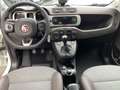 Fiat Panda 1.3 mjt 16v Cross 4x4  LEGA MULTIFUNZIONE PERFETTA Wit - thumbnail 9