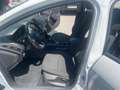 Ford Focus Focus Traveller Trend 1.0 Eco Boost Start/Stop Weiß - thumbnail 5