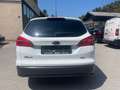 Ford Focus Focus Traveller Trend 1.0 Eco Boost Start/Stop Weiß - thumbnail 4