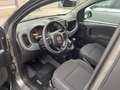 Fiat Panda Panda Cross 1.0 firefly hybrid City Cross Grigio - thumbnail 8