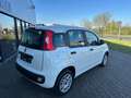 Fiat Panda 1Hand Klima Scheckh. komplett Blanc - thumbnail 2