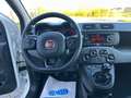 Fiat Panda 1Hand Klima Scheckh. komplett Blanc - thumbnail 9