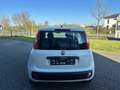 Fiat Panda 1Hand Klima Scheckh. komplett Blanc - thumbnail 4