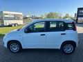 Fiat Panda 1Hand Klima Scheckh. komplett Blanc - thumbnail 6