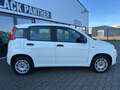 Fiat Panda 1Hand Klima Scheckh. komplett Blanc - thumbnail 3