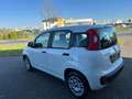 Fiat Panda 1Hand Klima Scheckh. komplett Blanc - thumbnail 5