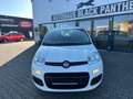 Fiat Panda 1Hand Klima Scheckh. komplett Blanc - thumbnail 7