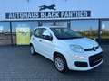 Fiat Panda 1Hand Klima Scheckh. komplett Blanc - thumbnail 1