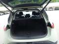 smart #1 315kW AWD Pulse 66kWh Grün - thumbnail 7
