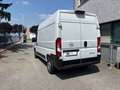 Opel Movano 2.2 BlueHDi L2H2 MY 2025 Wit - thumbnail 4