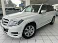Mercedes-Benz GLK 220 CDI BlueEfficiency*4MATIC*Totwinkel*SPUR Alb - thumbnail 2