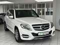 Mercedes-Benz GLK 220 CDI BlueEfficiency*4MATIC*Totwinkel*SPUR Blanc - thumbnail 12
