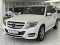 Mercedes-Benz GLK 220 CDI BlueEfficiency*4MATIC*Totwinkel*SPUR Blanc - thumbnail 11