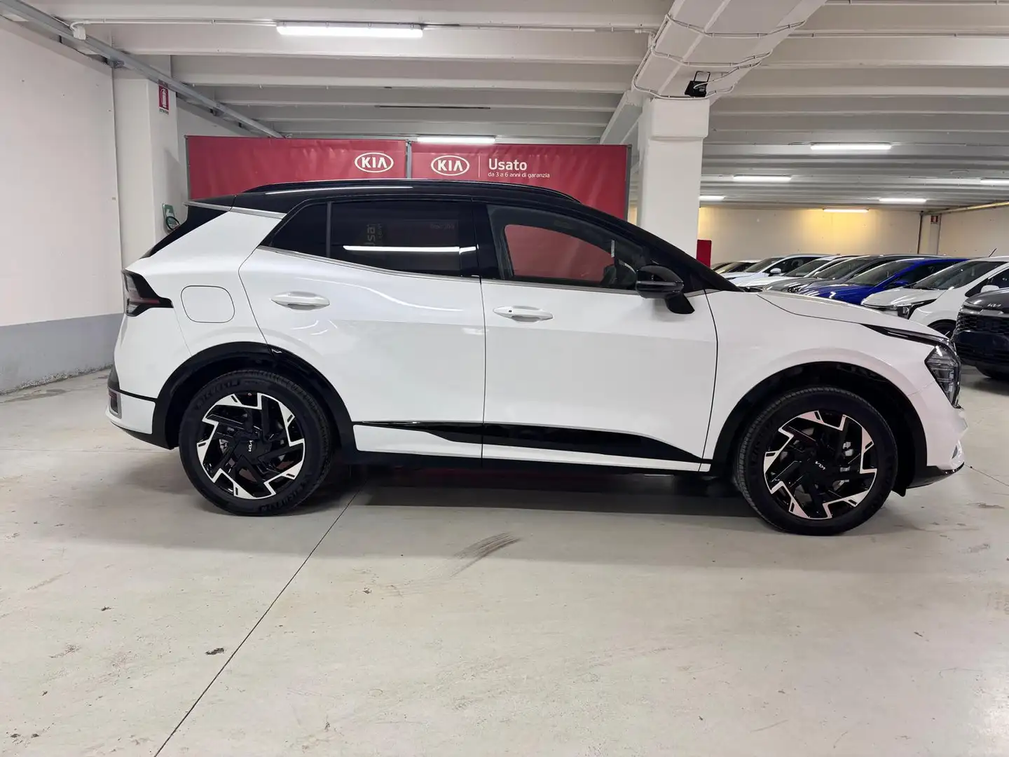 Kia Sportage 1.6 T-GDi PHEV GT-line Sunroof Pack Белый - 2