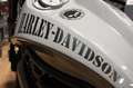 Harley-Davidson Night Rod Chopper VRSCDX Special, Inruil Mogelijk , Grijs - thumbnail 19