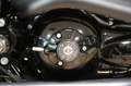 Harley-Davidson Night Rod Chopper VRSCDX Special, Inruil Mogelijk , Grijs - thumbnail 12
