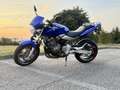 Honda Hornet - thumbnail 5