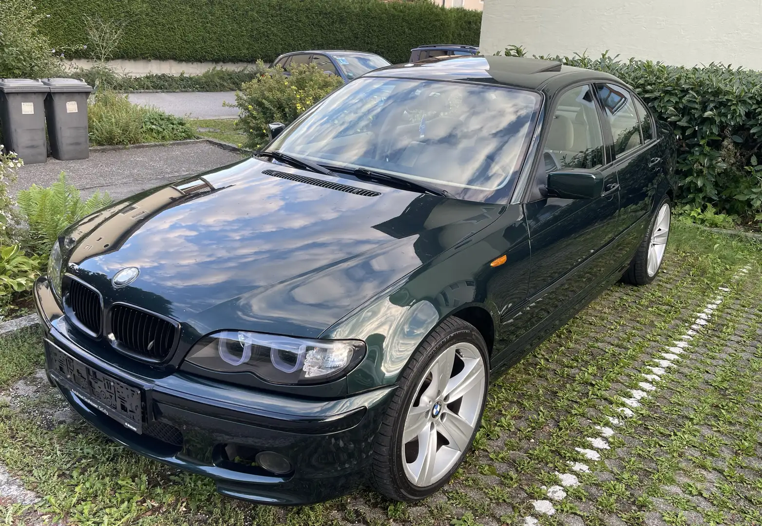 BMW 318 318i Österreich-Paket Grün - 2